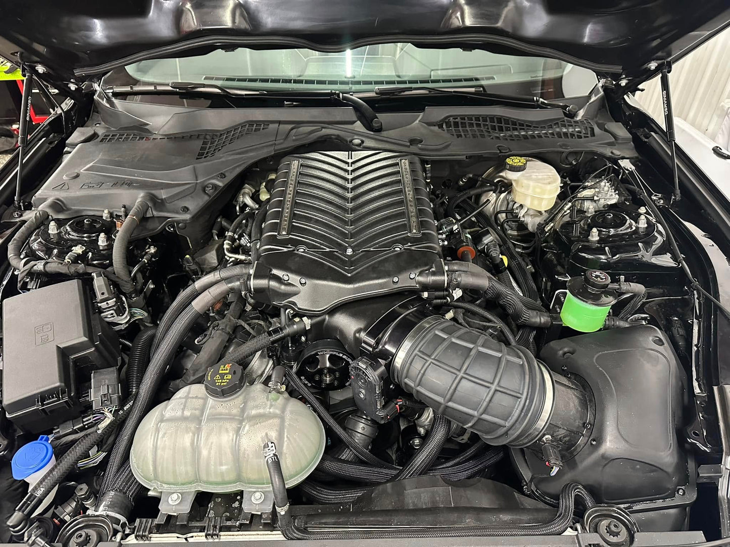 2016-2020 Mustang GT350/GT350R Whipple RPG Power Package