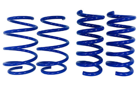 Steeda Mustang GT Drag Springs - Linear (2015-2026)