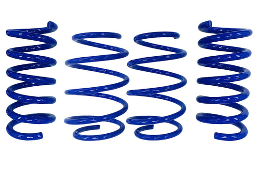 Steeda Mustang GT Magneride Drag Springs - Linear (2015-2026)